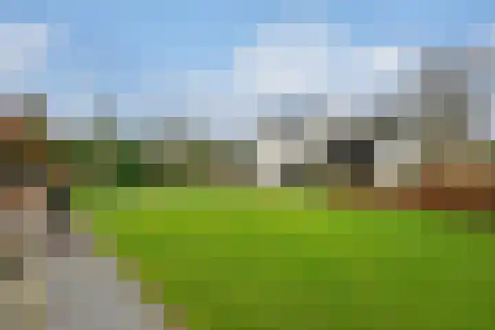 Dresdenlaan 25 Rotterdam thumbnail 36