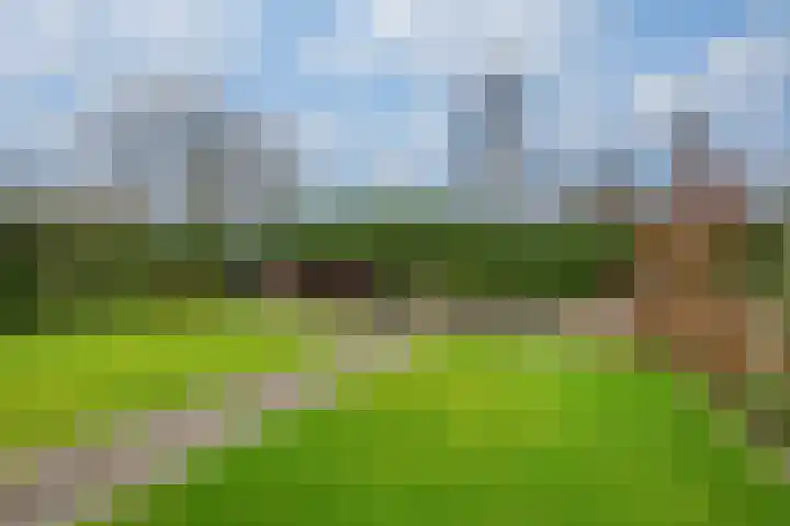 Dresdenlaan 25 Rotterdam thumbnail 37