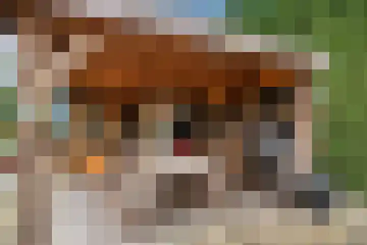 Dresdenlaan 25 Rotterdam thumbnail 38