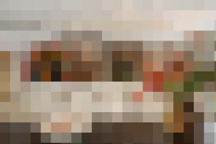 Dresdenlaan 25 Rotterdam thumbnail 6
