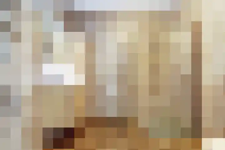 Dresdenweg 89 's-Gravenzande thumbnail 19