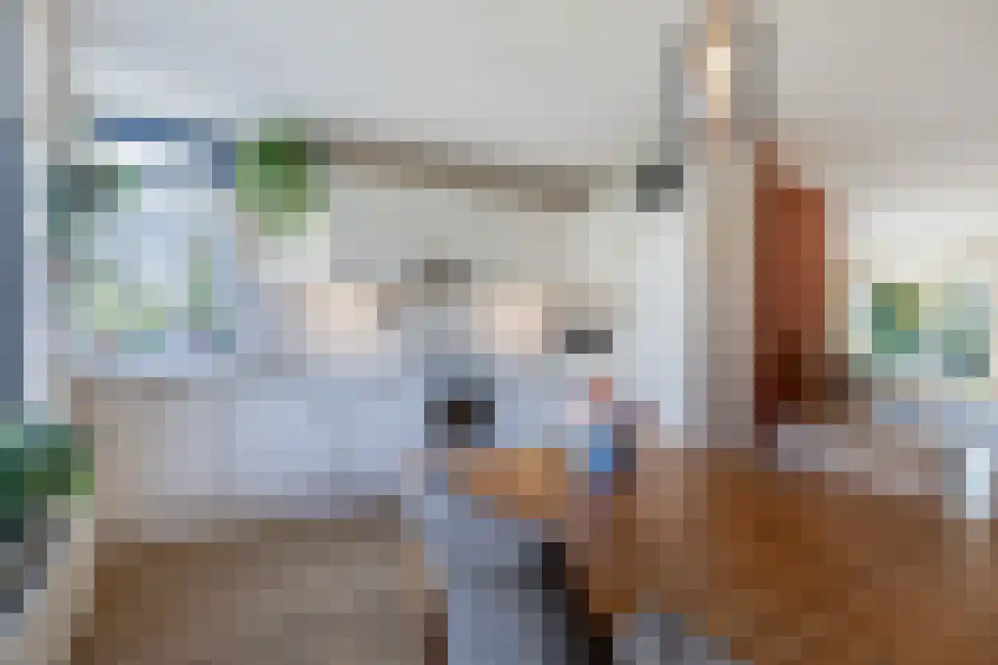 Dreslanden 22 Assen thumbnail 20