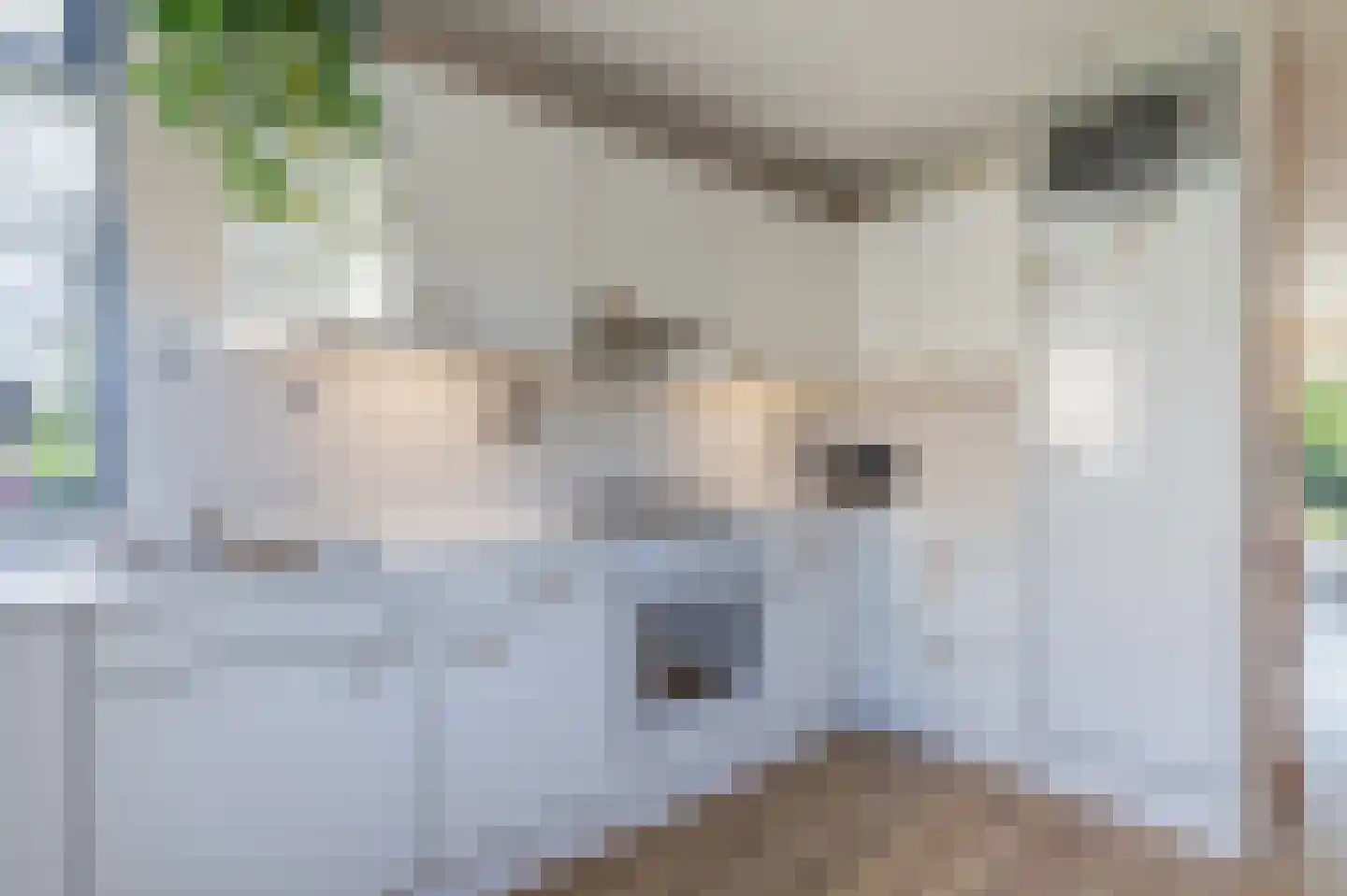 Dreslanden 22 Assen thumbnail 21
