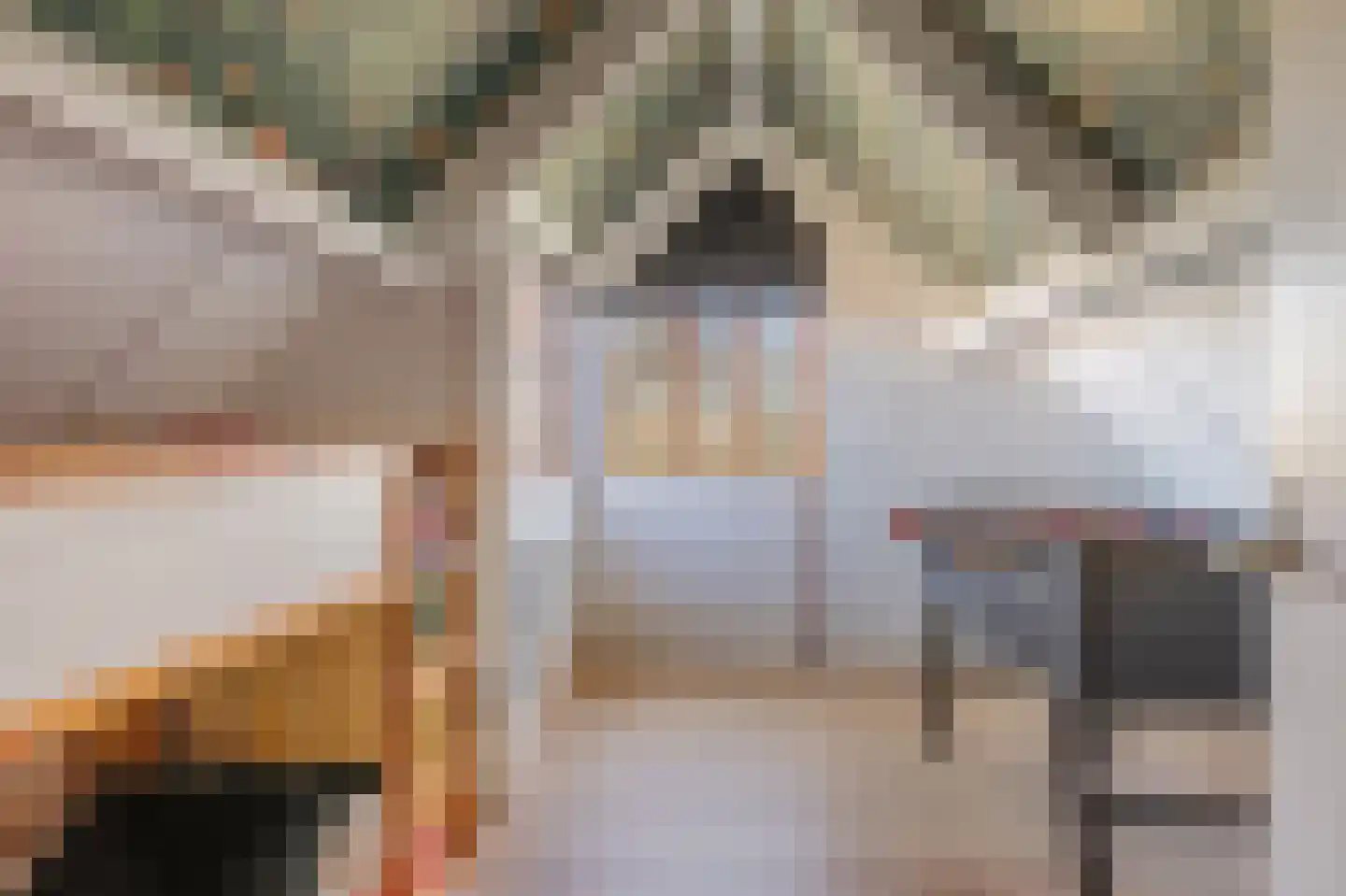 Dreslanden 22 Assen thumbnail 34