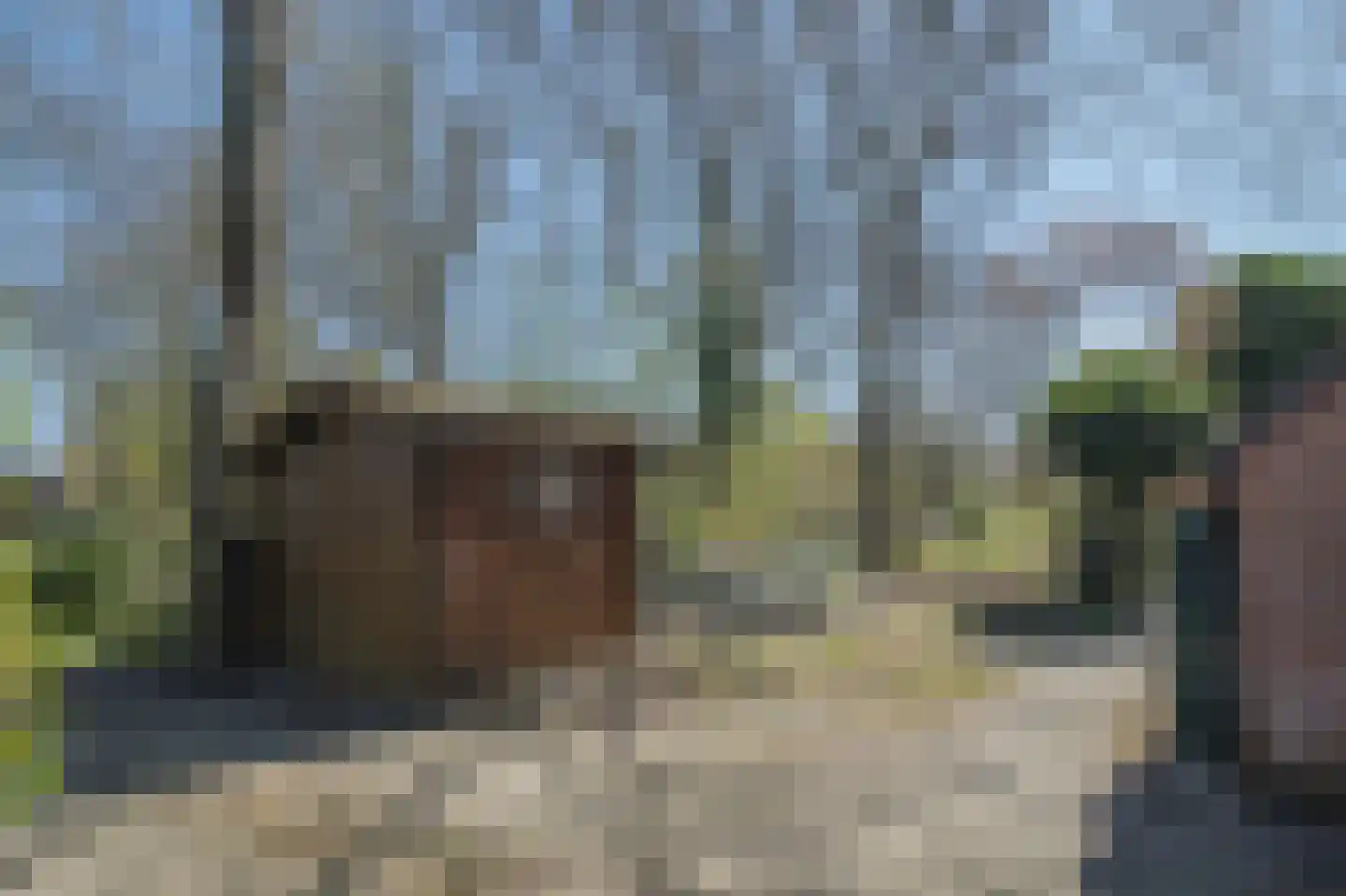 Dreslanden 22 Assen thumbnail 41