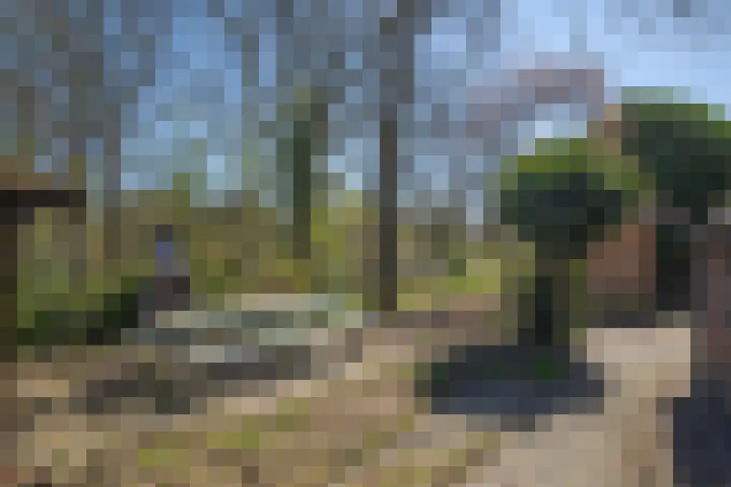Dreslanden 22 Assen thumbnail 42