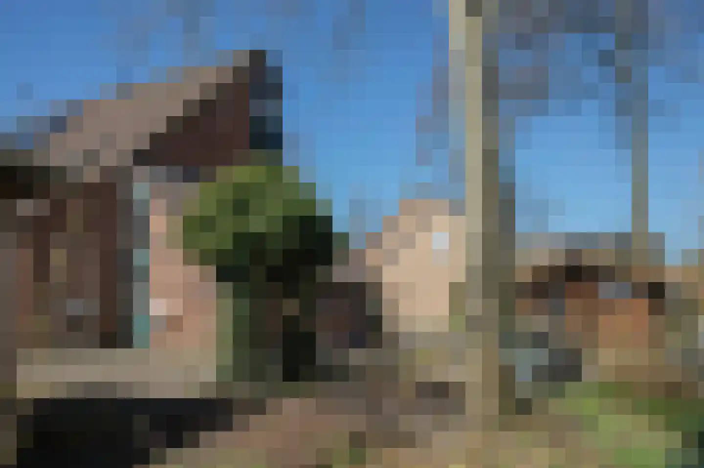 Dreslanden 22 Assen thumbnail 45