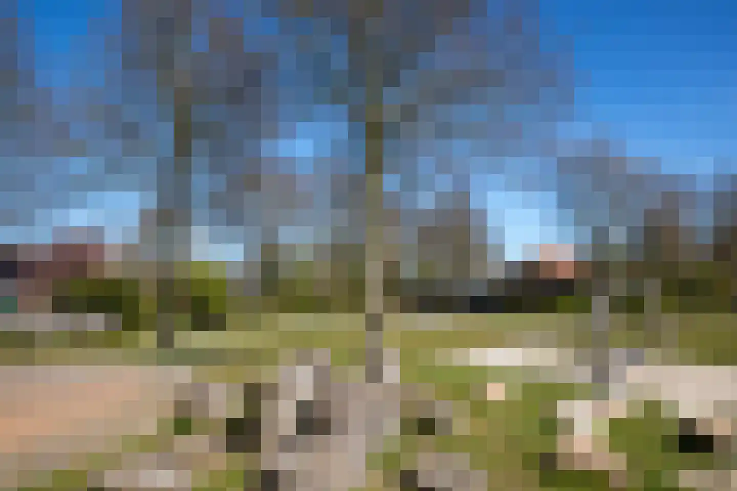 Dreslanden 22 Assen thumbnail 53