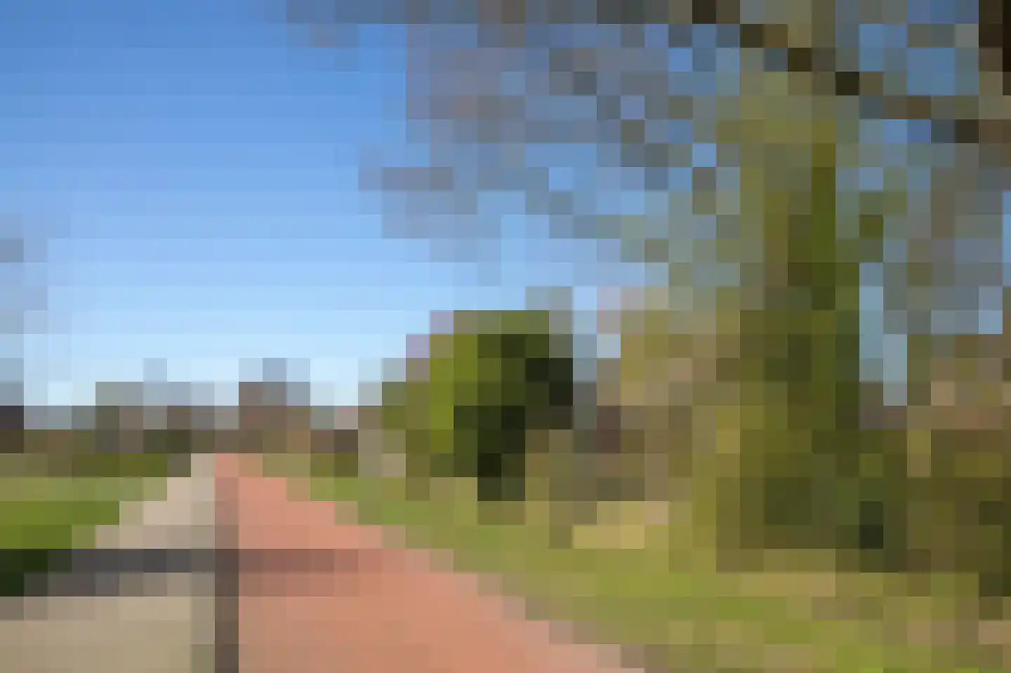 Dreslanden 22 Assen thumbnail 57