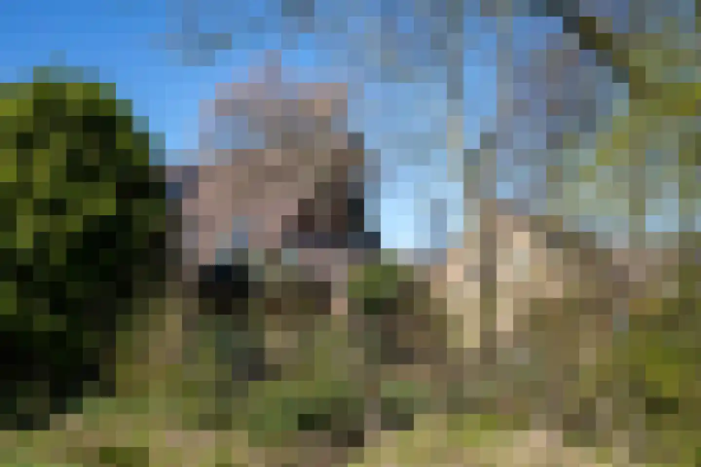 Dreslanden 22 Assen thumbnail 58