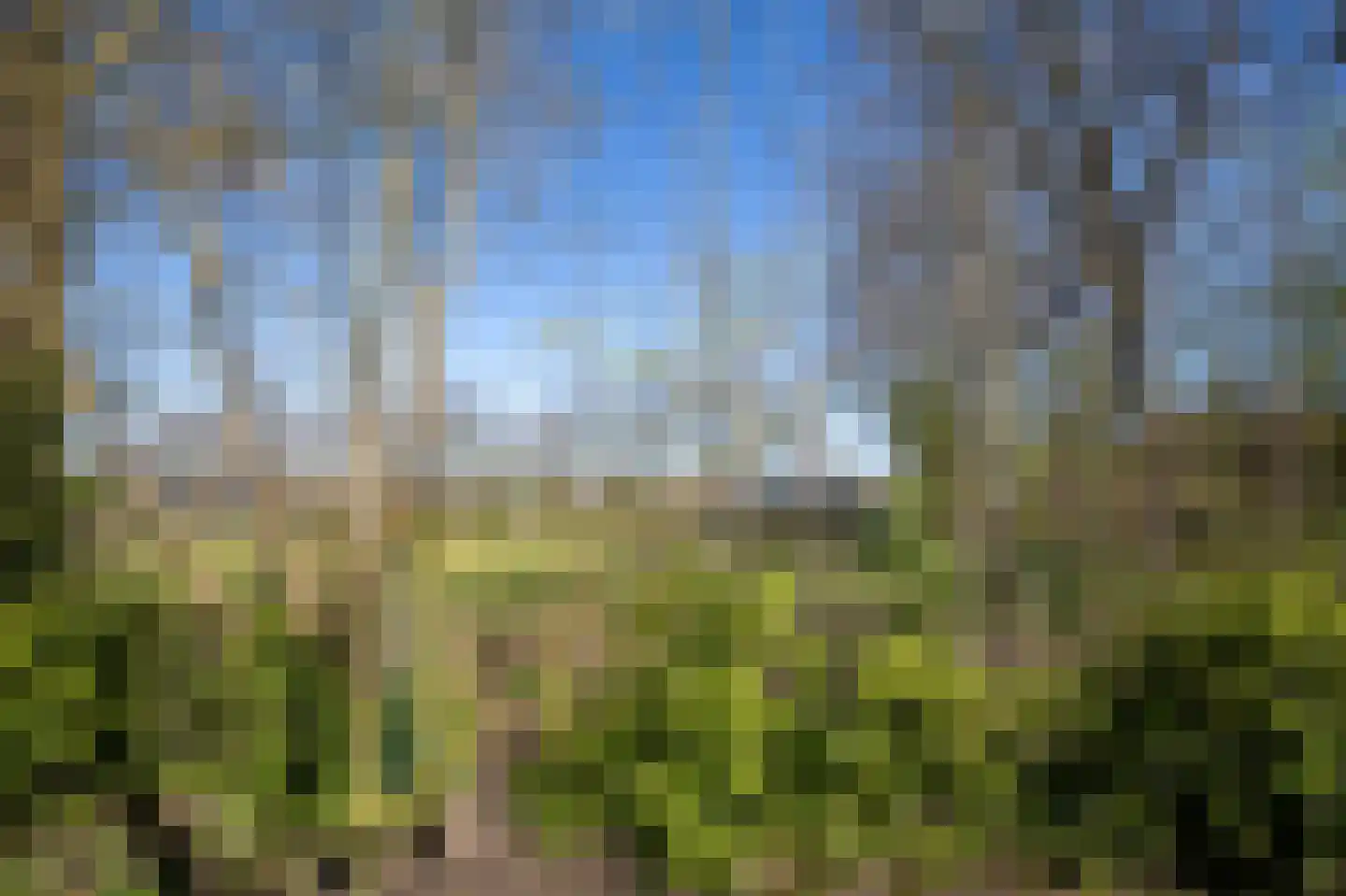 Dreslanden 22 Assen thumbnail 62