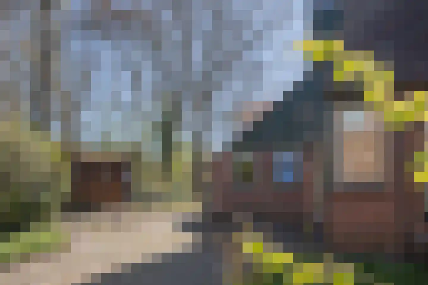 Dreslanden 22 Assen thumbnail 9