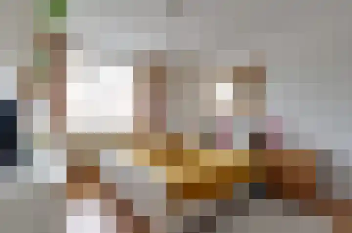 Dreslanden 31 Assen thumbnail 14