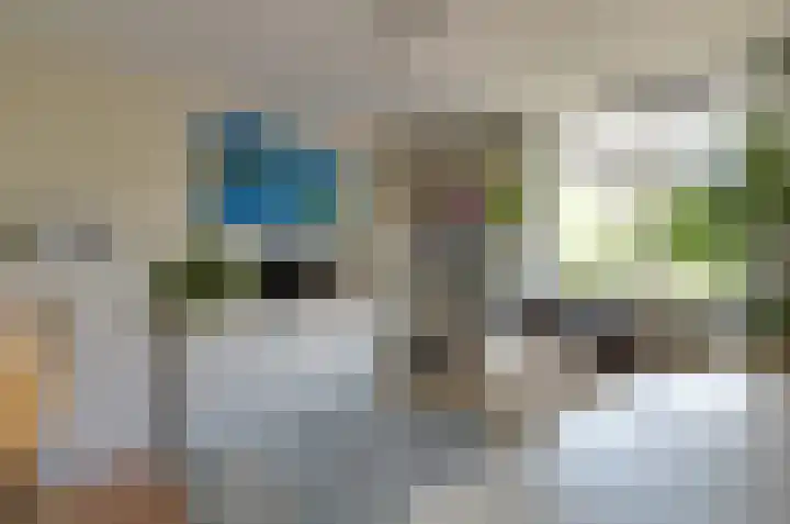Dreslanden 31 Assen thumbnail 17