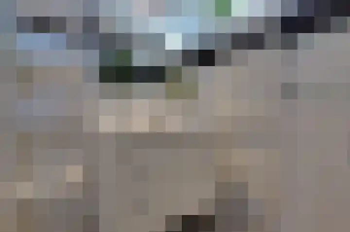 Dreslanden 31 Assen thumbnail 22