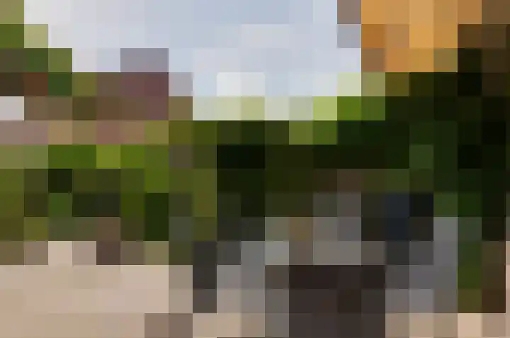 Dreslanden 31 Assen thumbnail 29