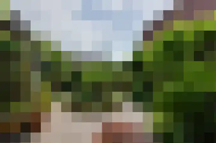 Dreslanden 31 Assen thumbnail 31