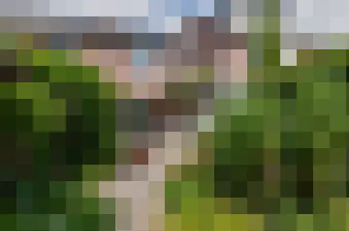 Dreslanden 31 Assen thumbnail 32