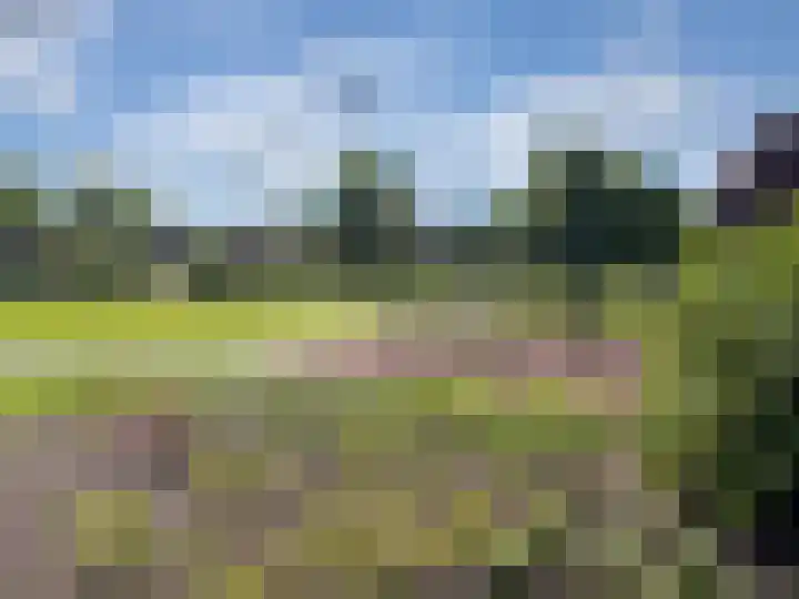 Dreslanden 31 Assen thumbnail 37