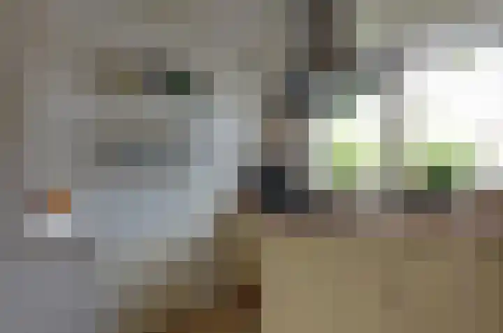 Dreslanden 31 Assen thumbnail 8