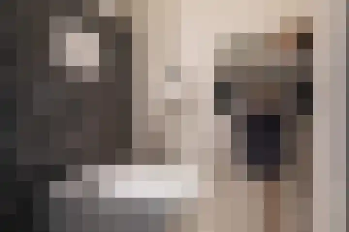 Dreslanden 74 Assen thumbnail 11