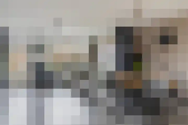 Dreslanden 74 Assen thumbnail 12