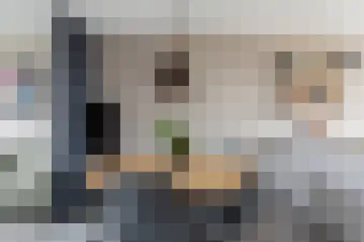 Dreslanden 74 Assen thumbnail 13