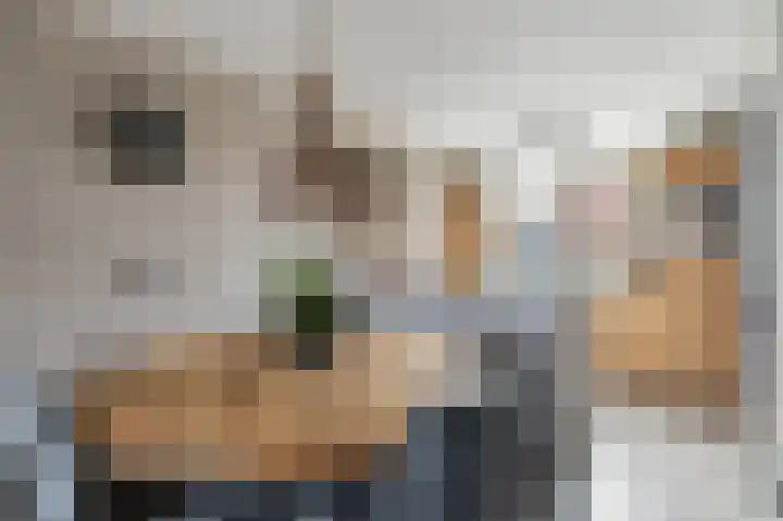 Dreslanden 74 Assen thumbnail 14
