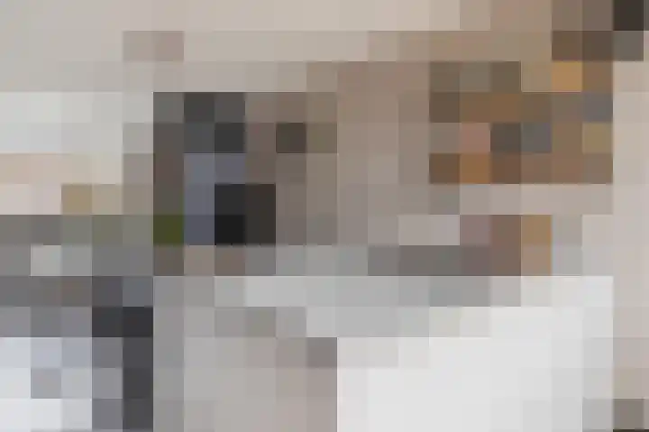 Dreslanden 74 Assen thumbnail 17