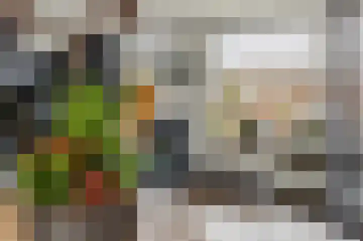 Dreslanden 74 Assen thumbnail 20