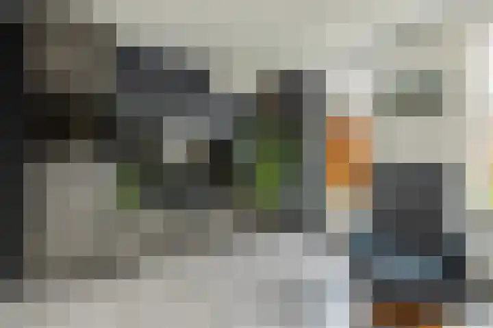 Dreslanden 74 Assen thumbnail 24