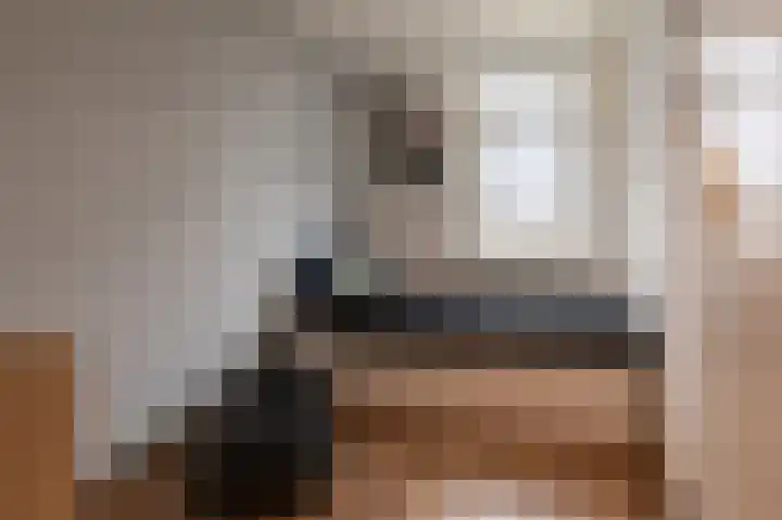 Dreslanden 74 Assen thumbnail 26