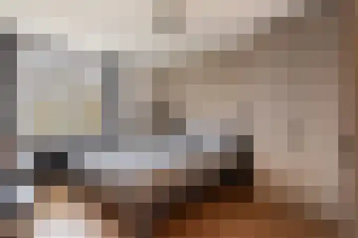 Dreslanden 74 Assen thumbnail 27