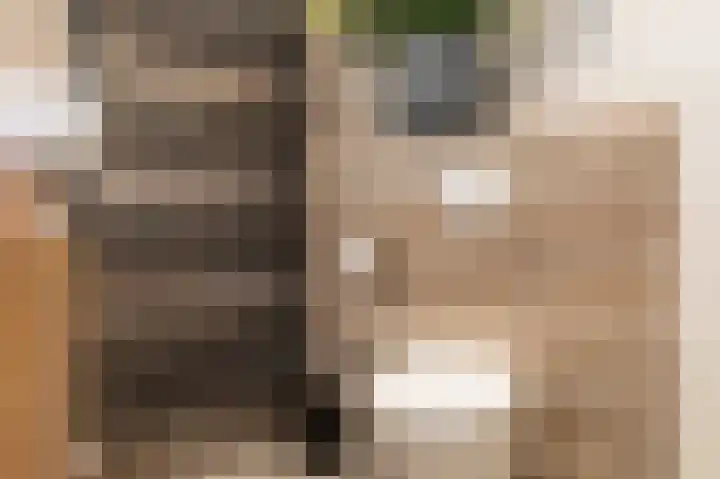 Dreslanden 74 Assen thumbnail 31