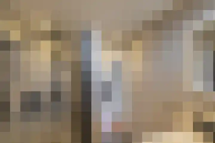 Dreslanden 74 Assen thumbnail 32