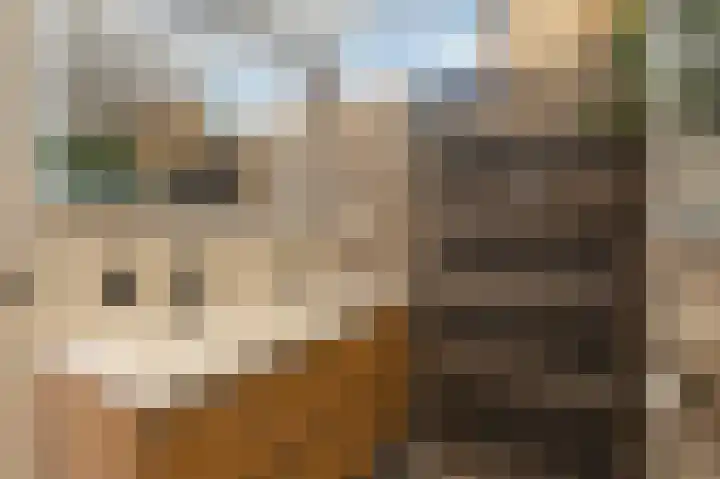 Dreslanden 74 Assen thumbnail 33