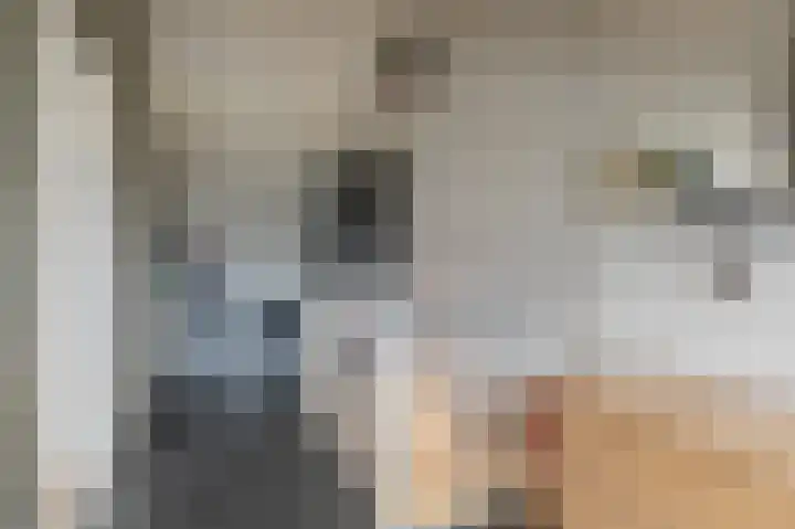 Dreslanden 74 Assen thumbnail 35