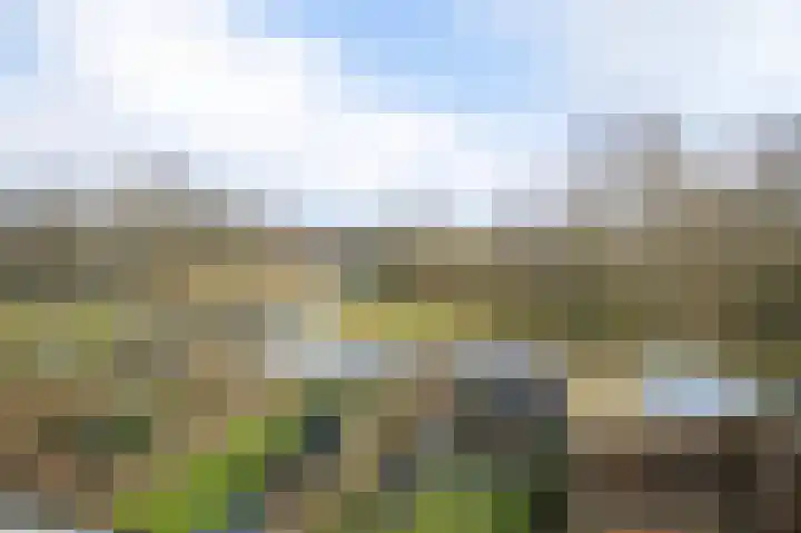 Dreslanden 74 Assen thumbnail 38