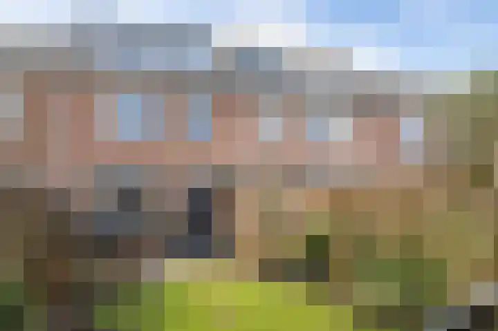 Dreslanden 74 Assen thumbnail 4