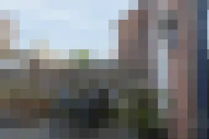 Dreslanden 74 Assen thumbnail 40