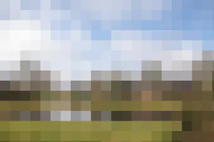 Dreslanden 74 Assen thumbnail 47