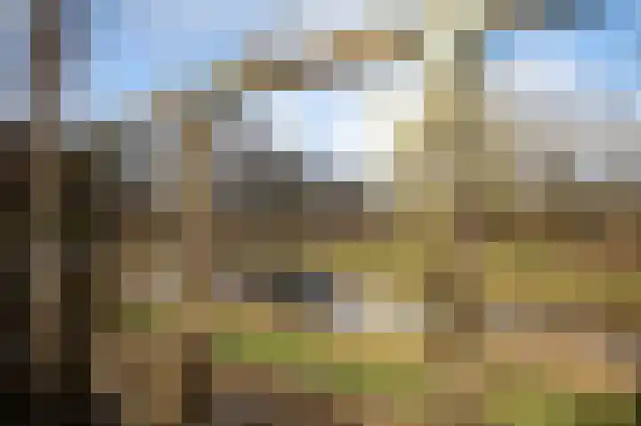 Dreslanden 74 Assen thumbnail 48