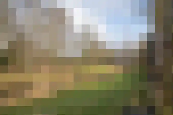 Dreslanden 74 Assen thumbnail 49