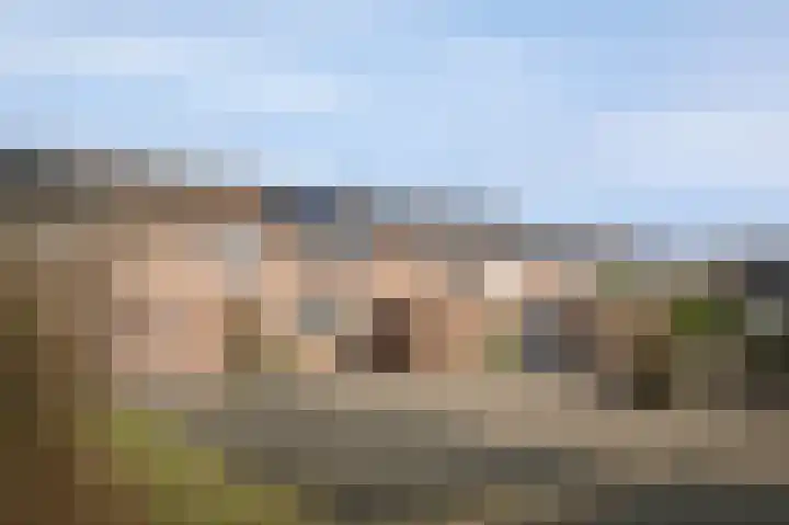 Dreslanden 74 Assen thumbnail 7
