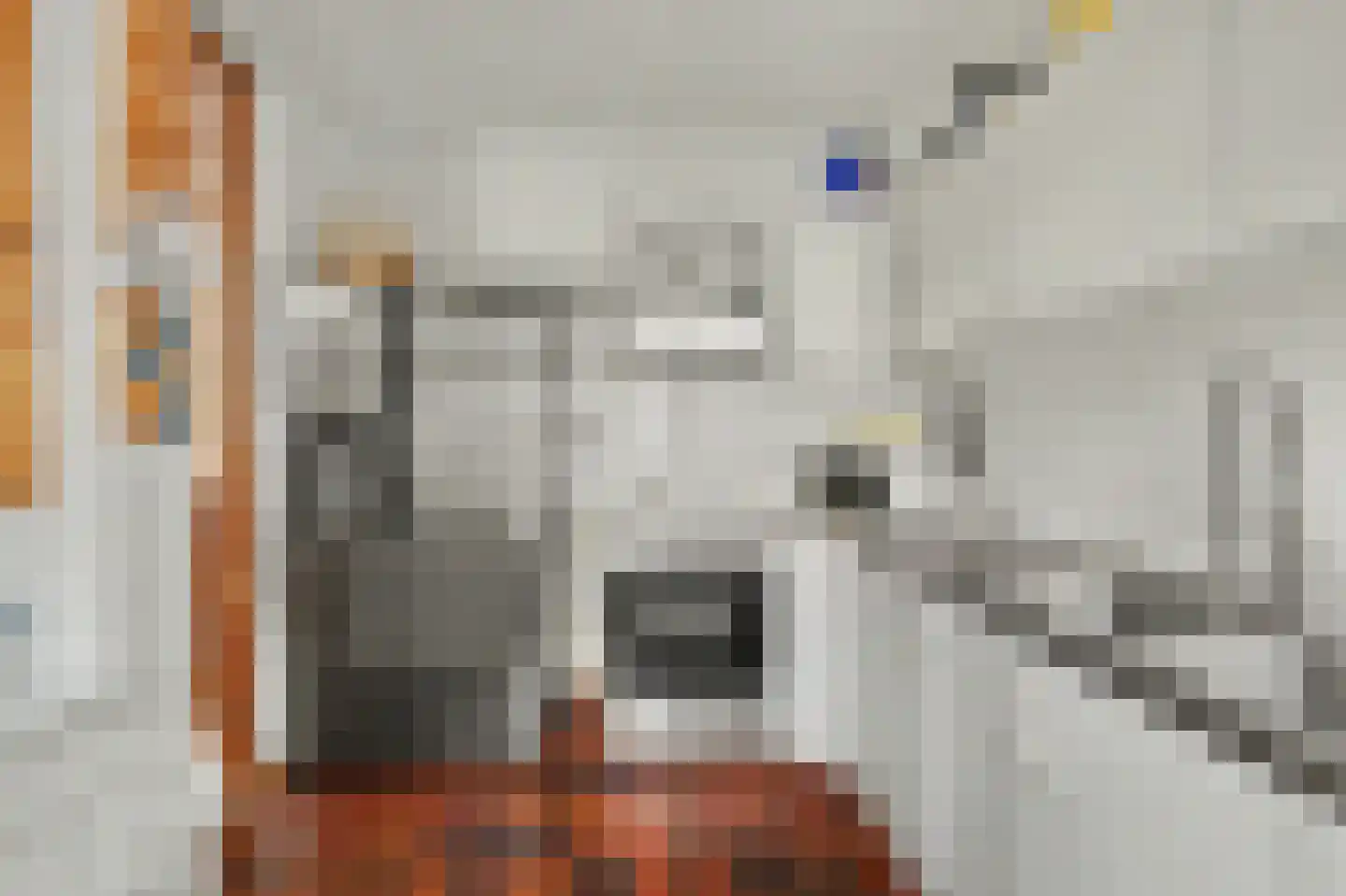 Dresselhuisstraat 6 Wolphaartsdijk thumbnail 11