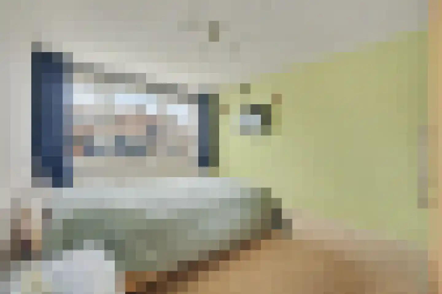 Dresselhuisstraat 6 Wolphaartsdijk thumbnail 17