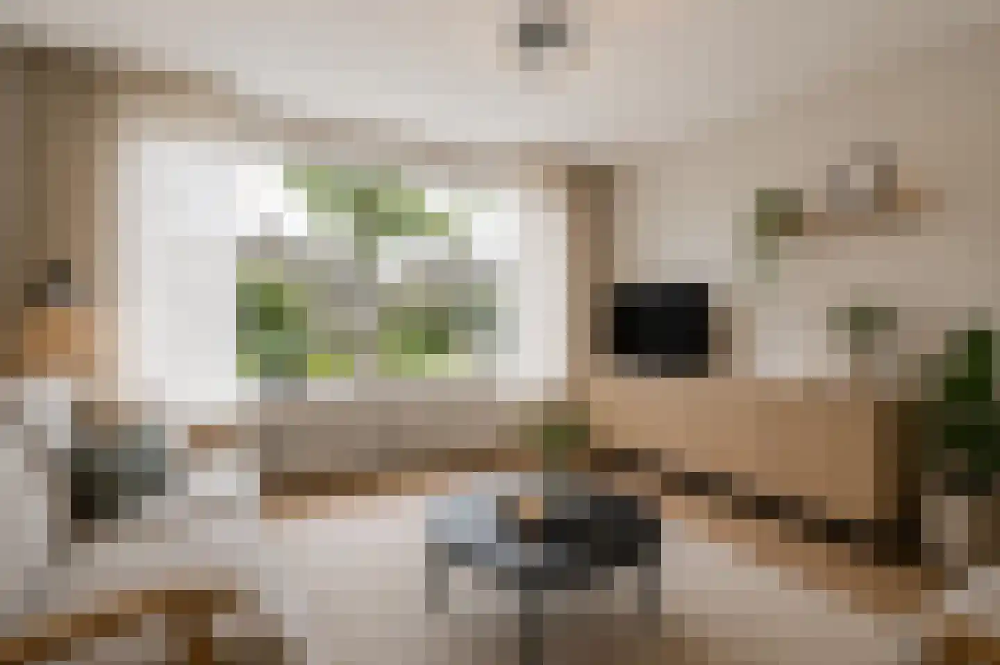 Dresselhuisstraat 6 Wolphaartsdijk thumbnail 4