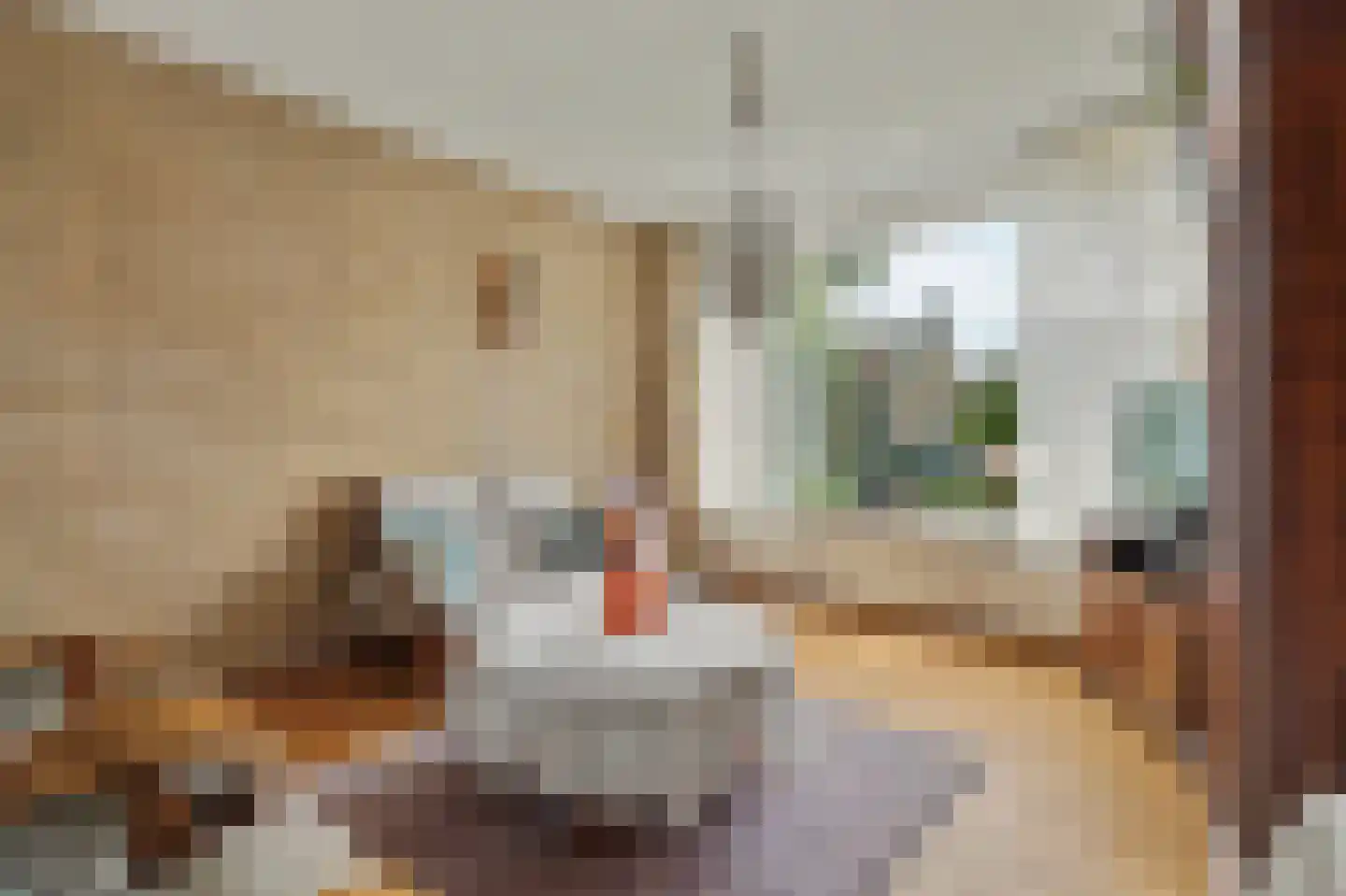 Dresselhuisstraat 6 Wolphaartsdijk thumbnail 5