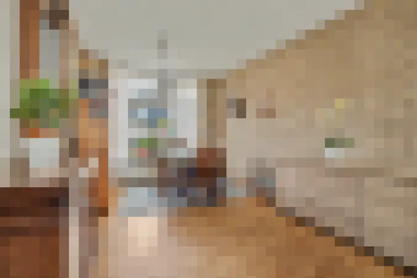 Dresselhuisstraat 6 Wolphaartsdijk thumbnail 7
