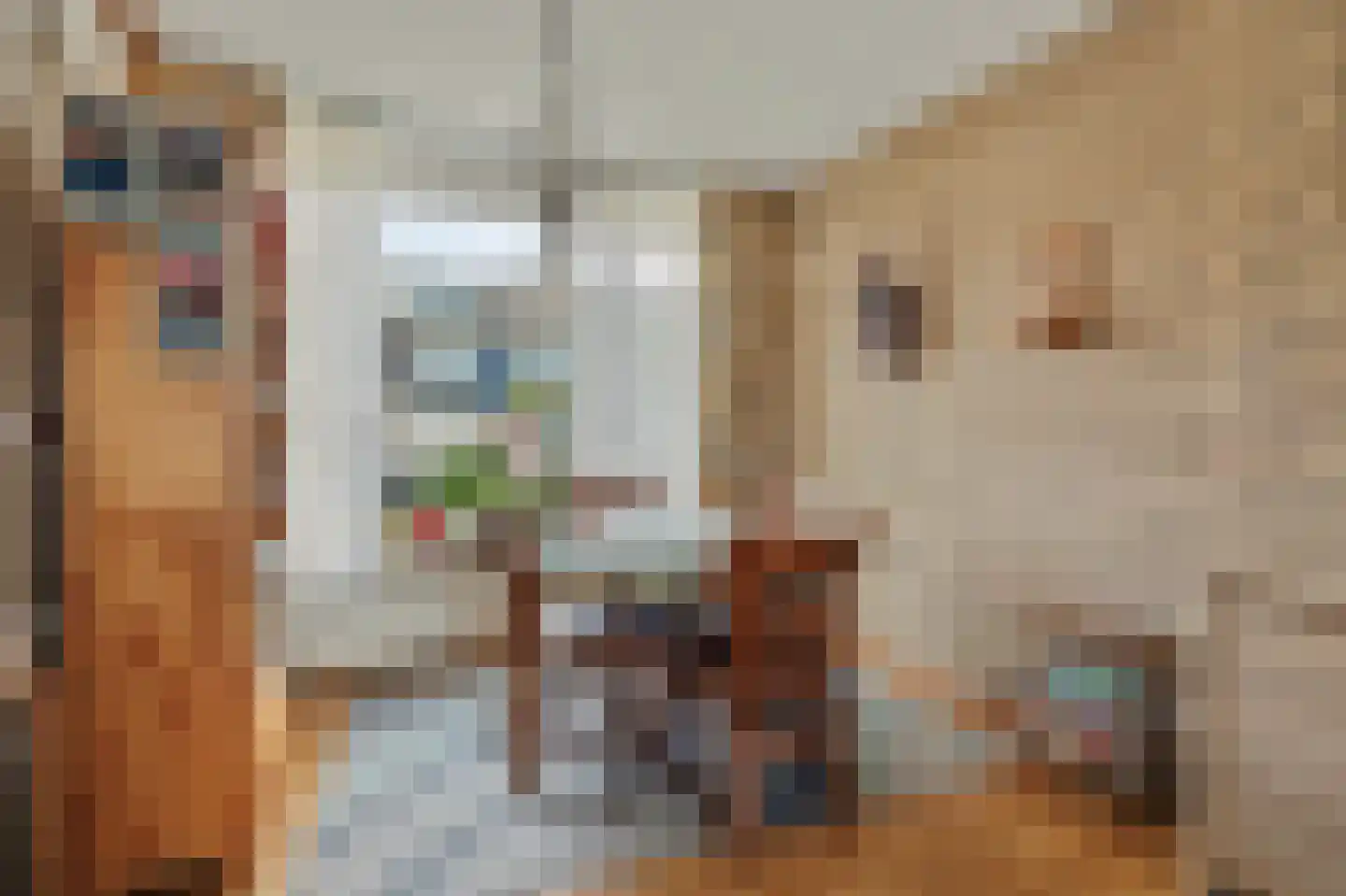 Dresselhuisstraat 6 Wolphaartsdijk thumbnail 8